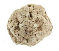 Pumice