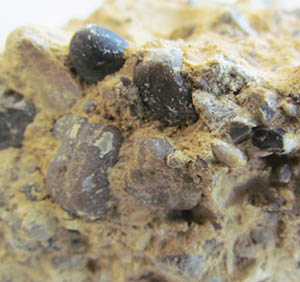 conglomerate