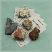 sedimentary rock collection