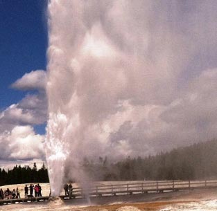 Geyser at Yellowstone National Park